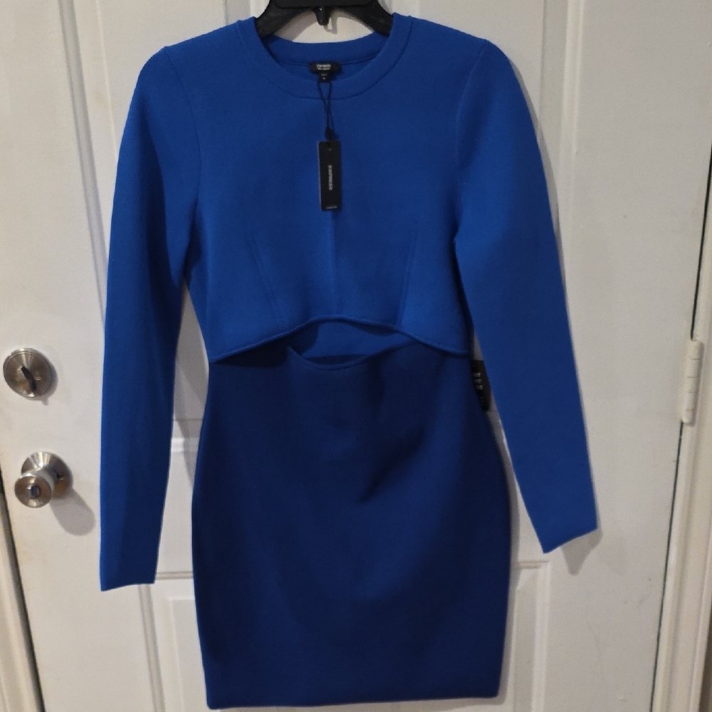 Express Chic Blue Knit Dress